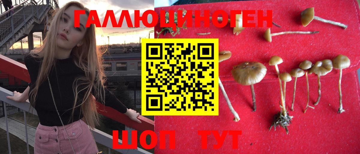 Галлюциногенные грибы мухоморы  Вход с VPN  Лыткарино  Галлюциногенные грибы Psilocybe 