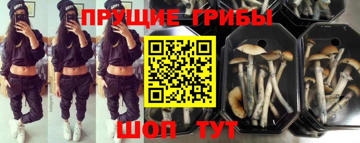 Метадон Лыткарино