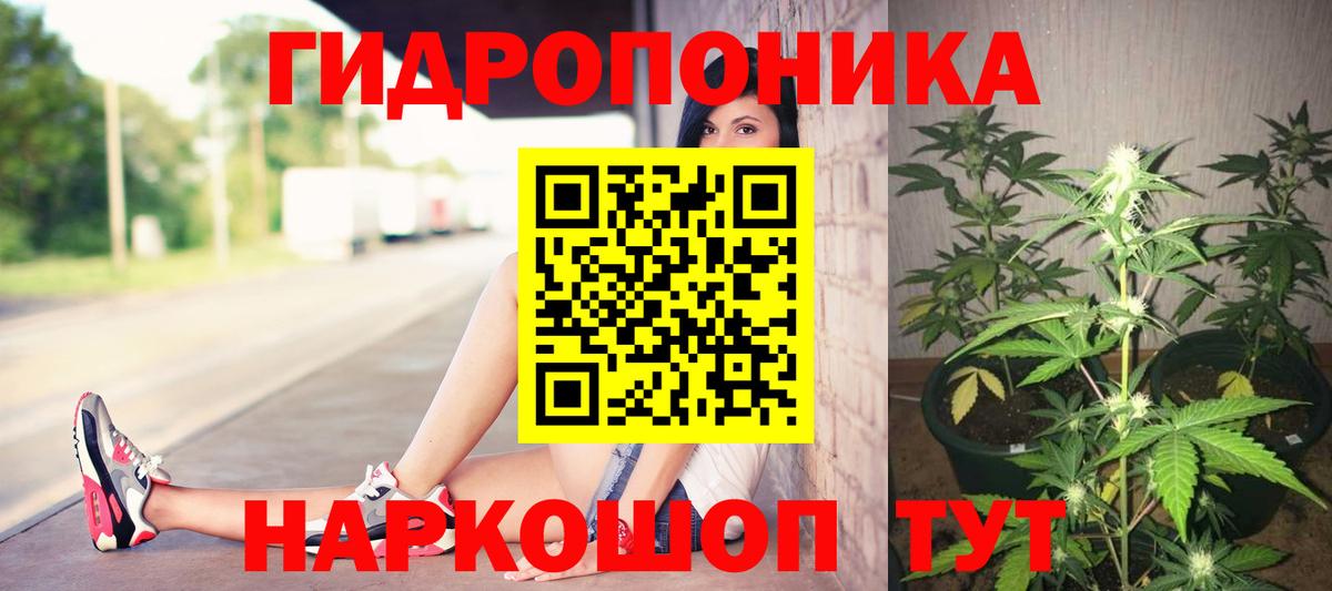 Марихуана Amnesia Лыткарино